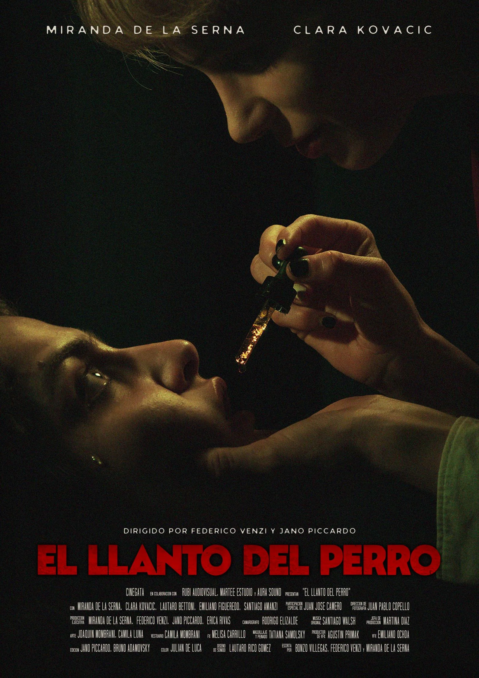 Póster de El llanto del perro
