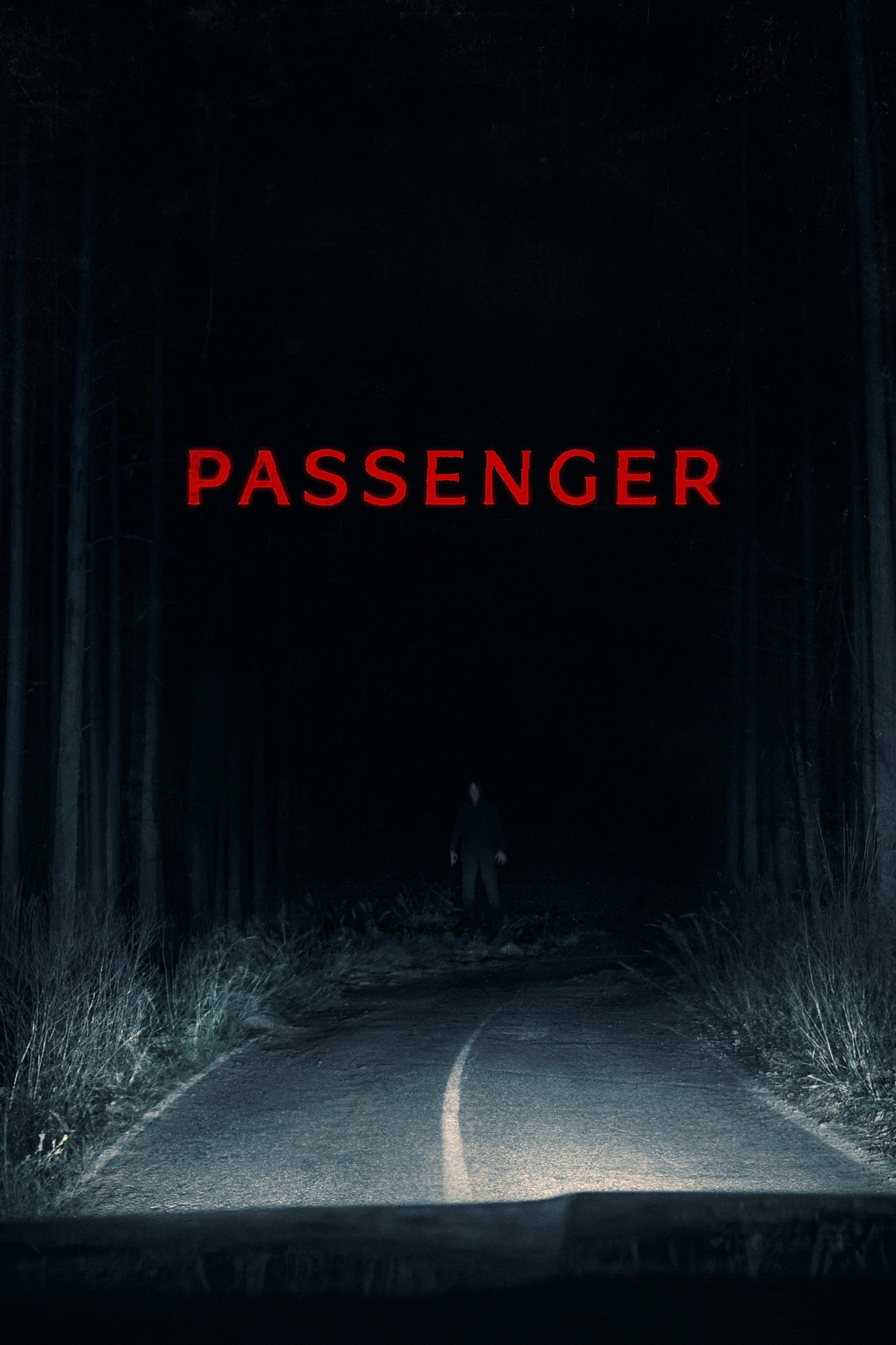 Cartelera oficial de El Pasajero Nocturno: Una Pesadilla en la Carretera