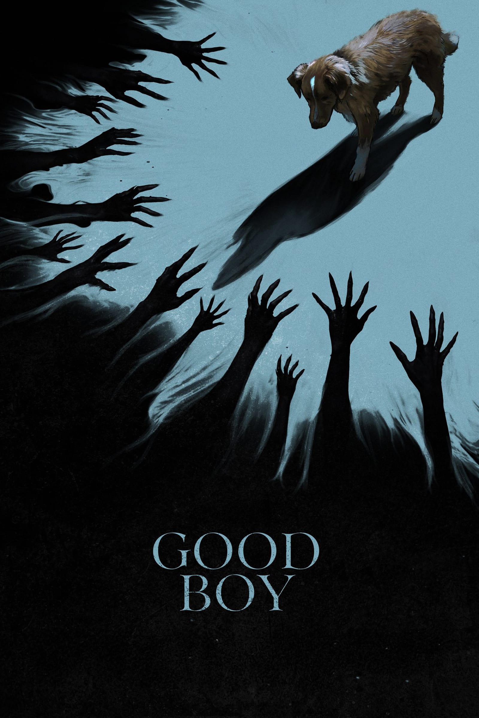 Cartelera oficial de Good Boy: El perro que no salvó a nadie (ni a sí mismo)