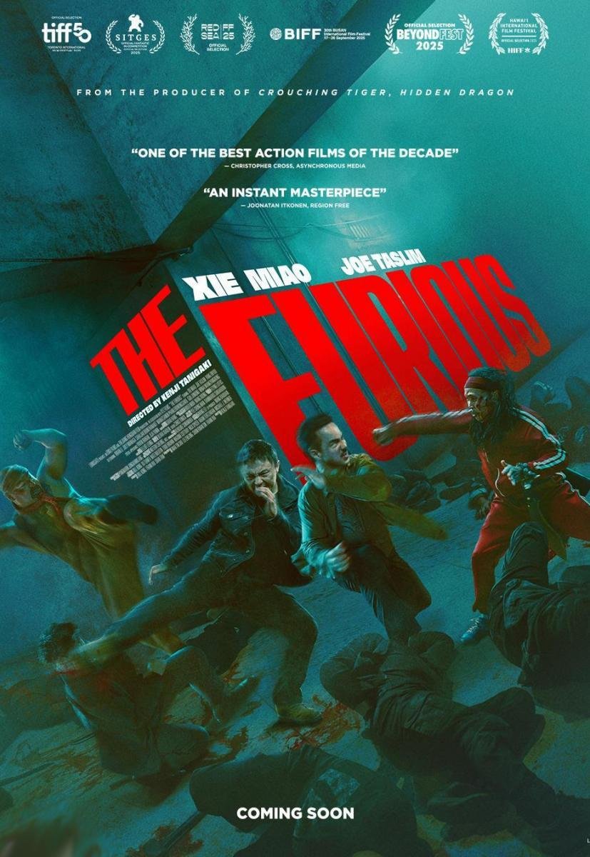 Cartelera oficial de The Furious: Una carnicería marcial de primer nivel saboteada por su propio guion