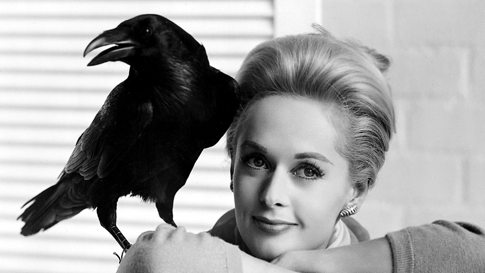 Los pájaros still 2