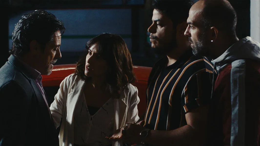 Luger still 4